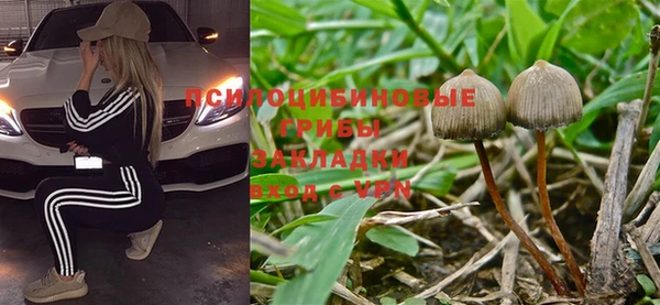 PSILOCYBIN Сафоново